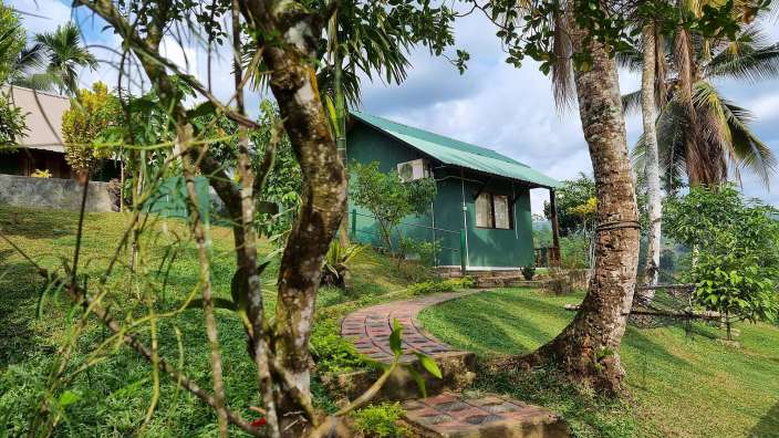 Ein grünes Haus auf einem Hügel umgeben von Bäumen