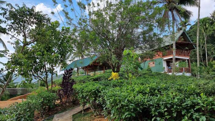 Ein Haus mit einem grünen Dach sitzt auf einem Hügel