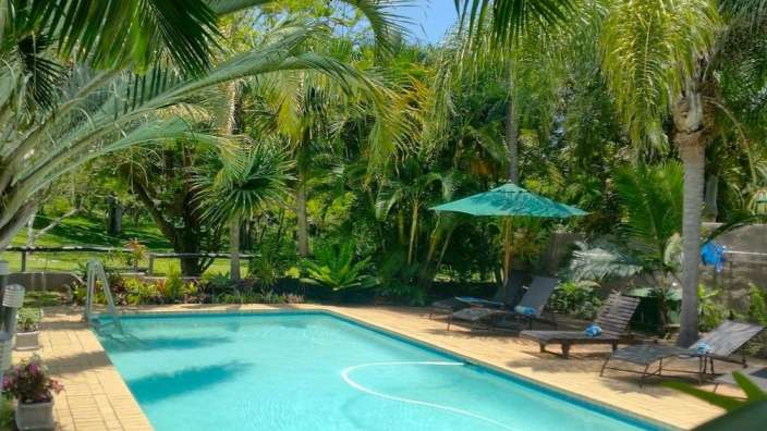 Ein großer Swimmingpool umgeben von Palmen und Stühlen