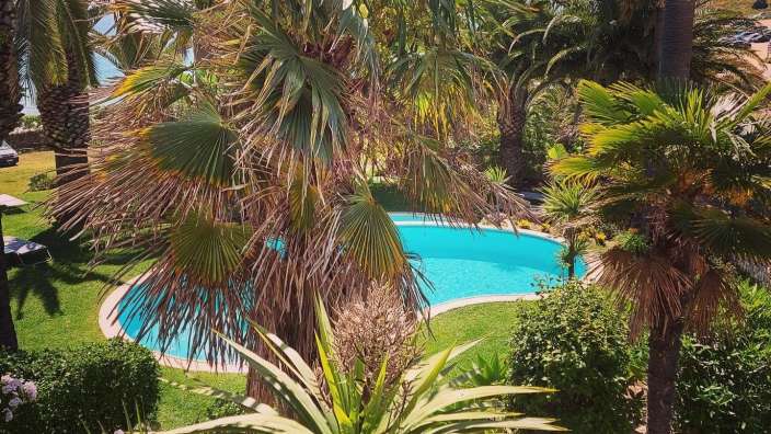 Ein großer Swimmingpool umgeben von Palmen und Bäumen