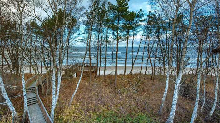 Ein Holzsteg führt durch einen Wald zum Strand