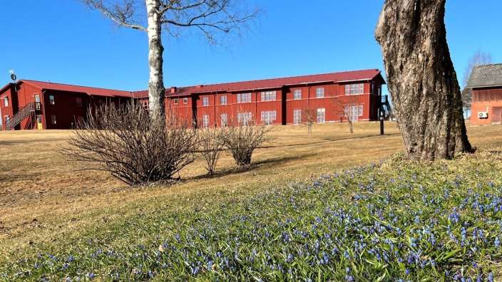 Ein Feld mit blauen Blumen vor einem roten Gebäude