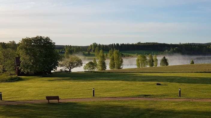Ein Feld mit Bäumen und einem See im Hintergrund