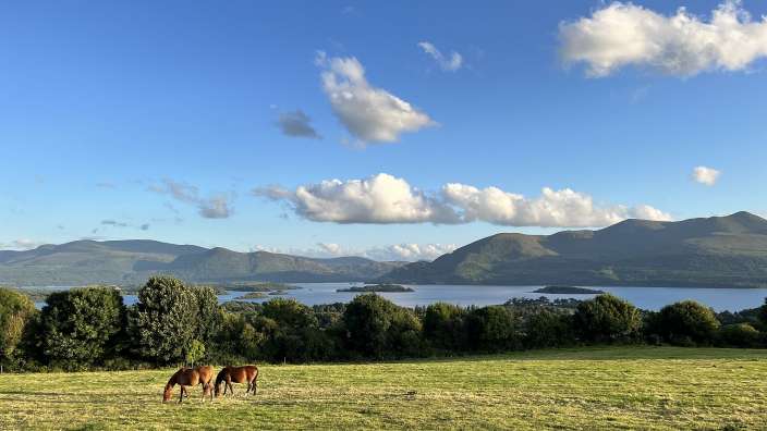 Pferde grasen in einem Feld mit Bergen im Hintergrund