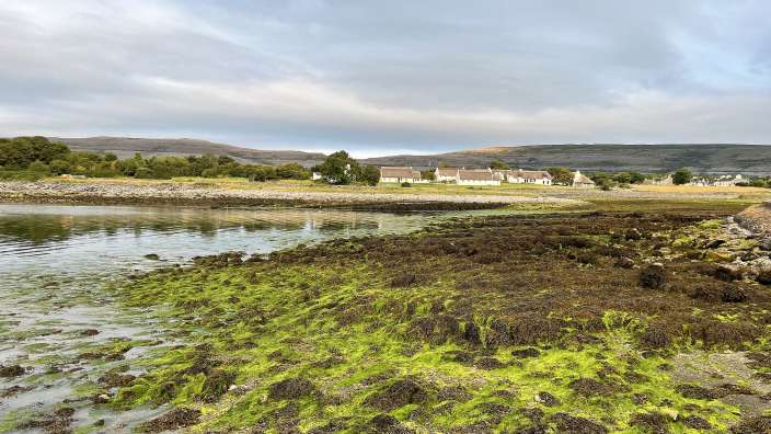 Eine Gruppe von Häusern sitzt am Ufer eines Sees