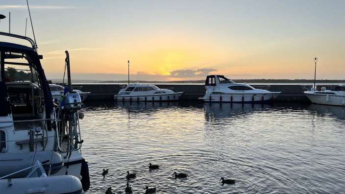 Eine Gruppe von Enten schwimmt in einem Hafen bei Sonnenuntergang
