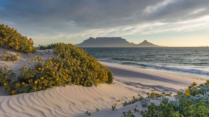 Ein sandiger Strand mit einem Berg im Hintergrund