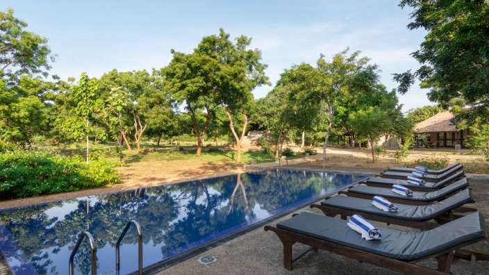 Liegestühle neben einem großen Swimmingpool mit Bäumen im Hintergrund