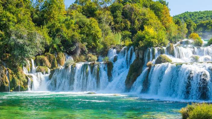 Ein Wasserfall inmitten eines grünen Waldes