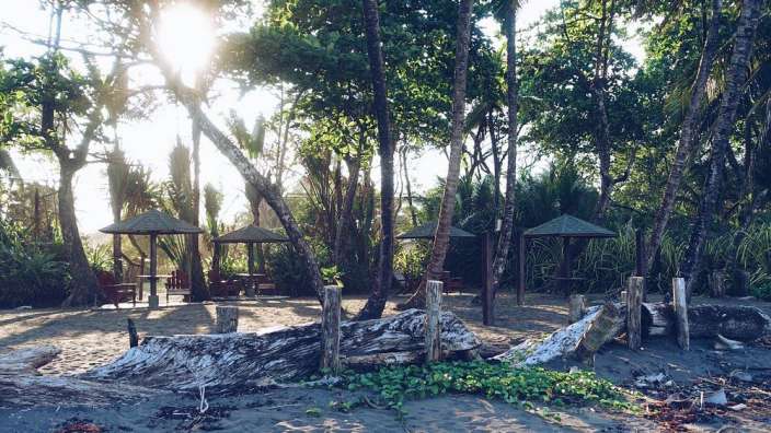 Die Sonne scheint durch die Bäume an einem Strand