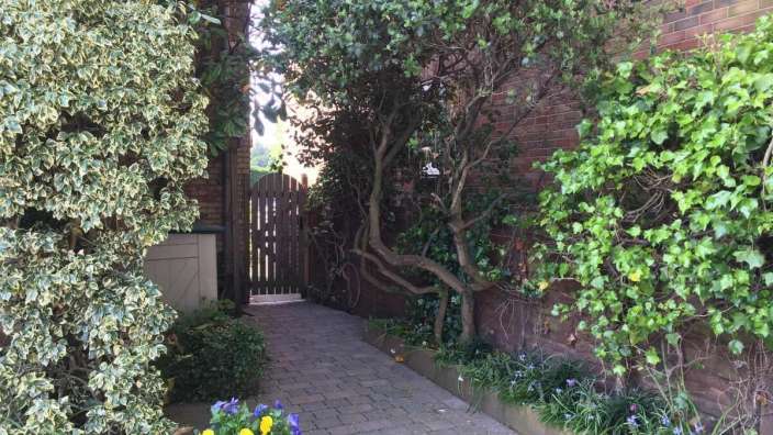 Ein Gartenweg mit einem Topf mit gelben und violetten Blumen