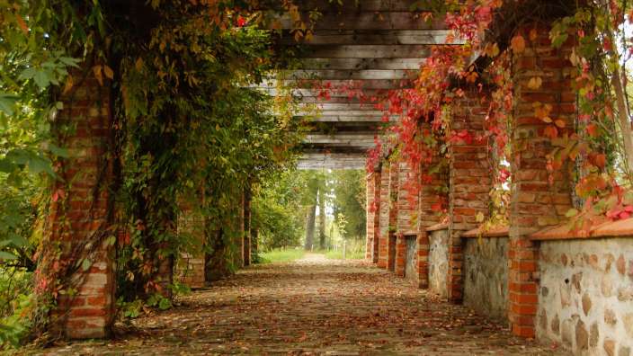 Eine Pergola aus Backsteinen mit roten und grünen Blättern
