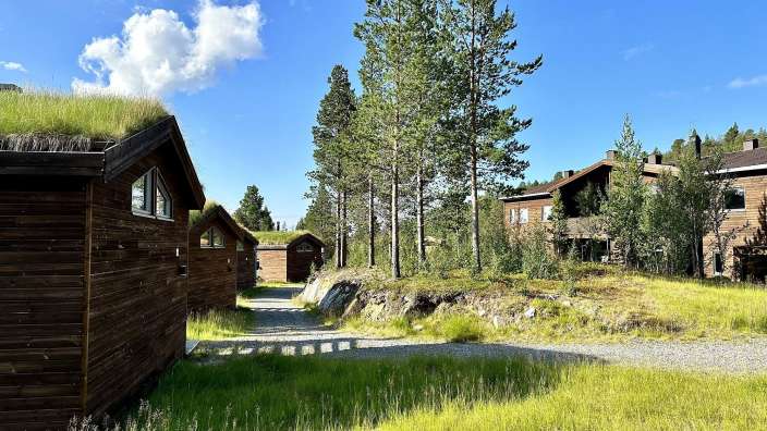 Eine Gruppe von Holzhäusern mit grünem Gras auf dem Dach