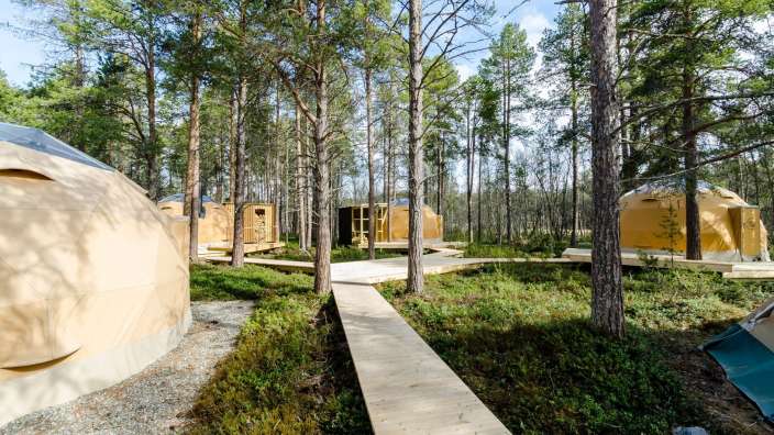 Ein Holzsteg führt durch einen Wald zwischen zwei Gebäuden
