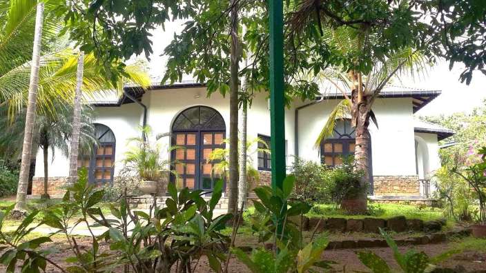 Ein weißes Haus mit vielen Bäumen umgeben