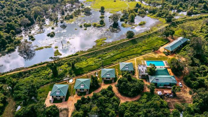 Eine Gruppe von Häusern mit grünen Dächern inmitten eines Waldes