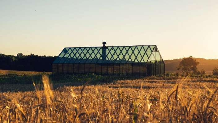 Ein Feld mit einem Glashaus im Hintergrund