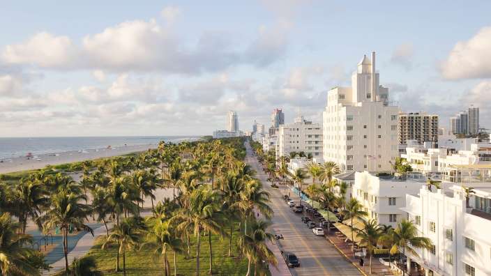 Eine Stadtstraße mit vielen Palmen und weißen Gebäuden