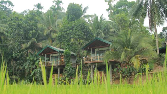Zwei Häuser auf Stelzen stehen inmitten eines grünen Feldes