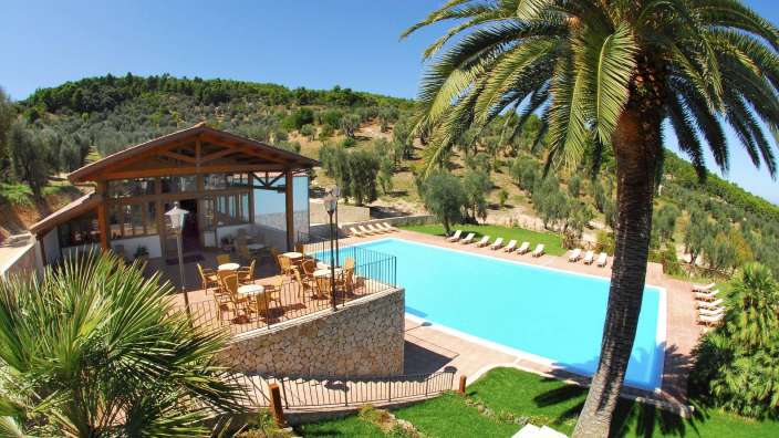 Ein großer Swimmingpool umgeben von Palmen und Stühlen