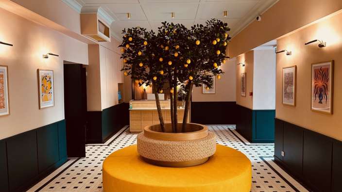 Ein gelber Stuhl steht in einem Flur neben einem Zitronenbaum