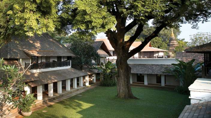 Ein großer Baum steht in der Mitte eines grünen Rasens