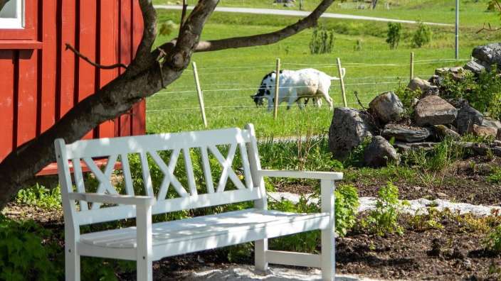 Eine weiße Bank mit den Buchstaben xxix darauf