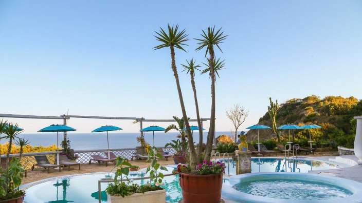 Ein großer Pool mit einer Palme in der Mitte