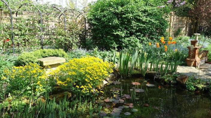 Ein Garten mit einem Teich und gelben und orangefarbenen Blumen