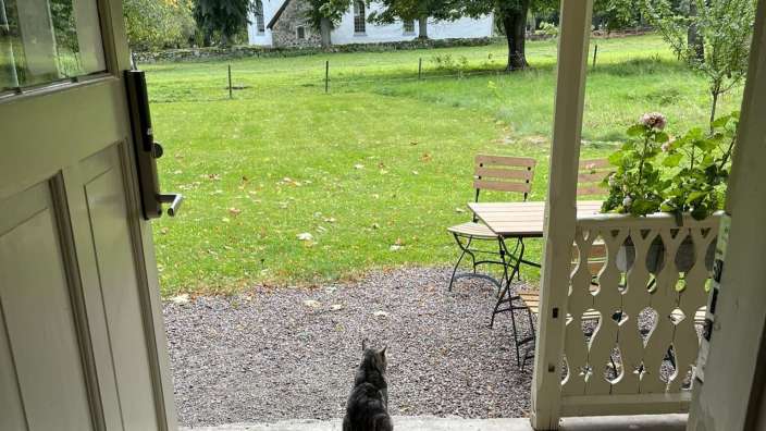 Eine Katze steht auf einer Veranda und schaut auf einen Tisch und Stühle