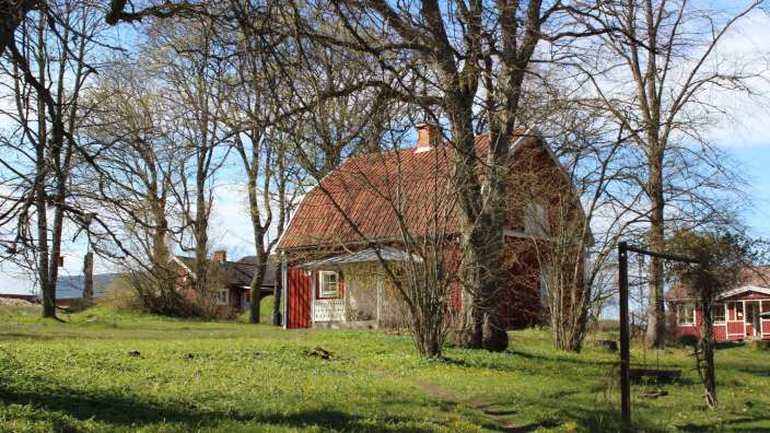 Ein kleines rotes Haus steht inmitten einer grünen Wiese