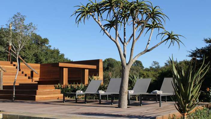 Ein Holzdeck mit Liegestühlen und einem Baum