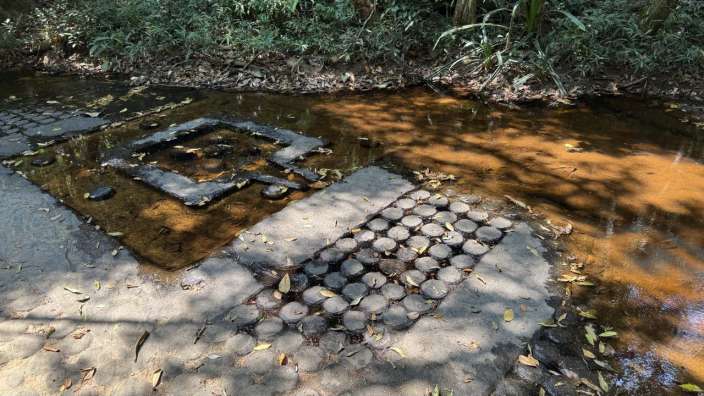 Ein Fluss, der durch einen Wald fließt