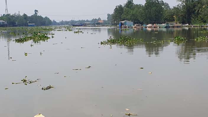 Ein großer Fluss mit vielen Bäumen im Hintergrund