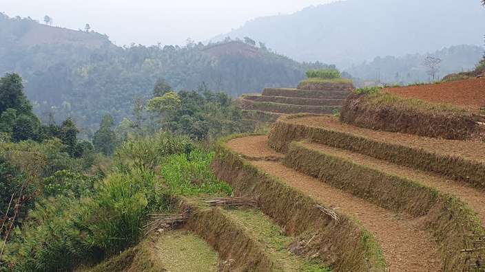 Ein Feld mit einer Reihe von Stufen und Bäumen im Hintergrund