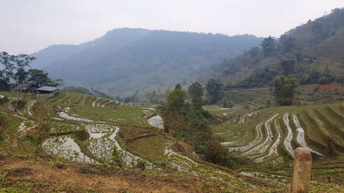 Ein Feld mit Reisterrassen und einem kleinen Häuschen im Hintergrund