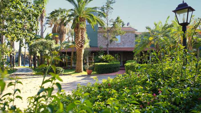Ein Haus mit Palmen und einer Laterne im Vordergrund
