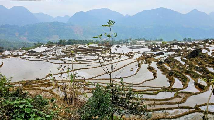 Ein Blick auf einen Reisfeld mit Bergen im Hintergrund