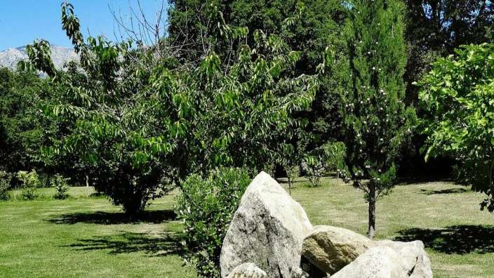 Eine Gruppe von Felsen liegt auf einer Wiese neben einem Baum