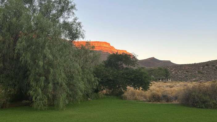 Ein Feld mit Bäumen und einem Berg im Hintergrund