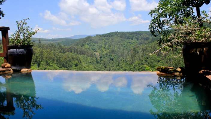 Ein Infinity-Pool mit Blick auf einen Wald