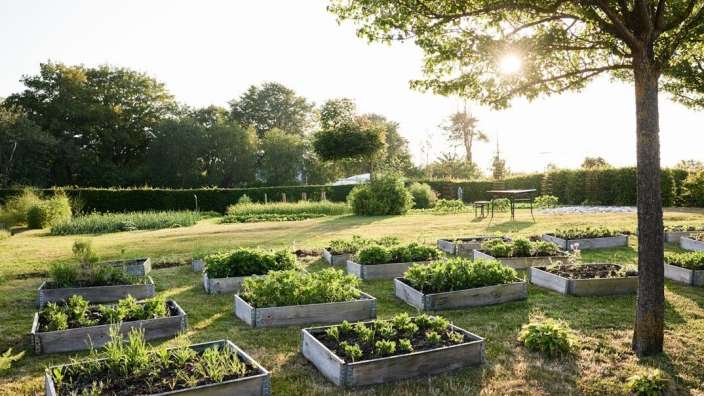 Ein Garten mit vielen Blumenbeeten und einem Tisch