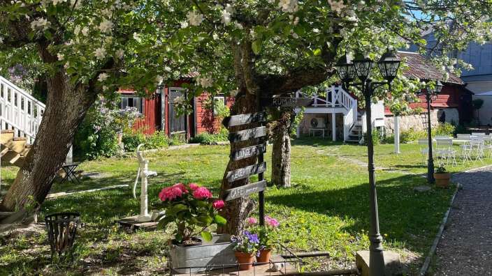Ein Garten mit einem Baum und einem Schild darauf