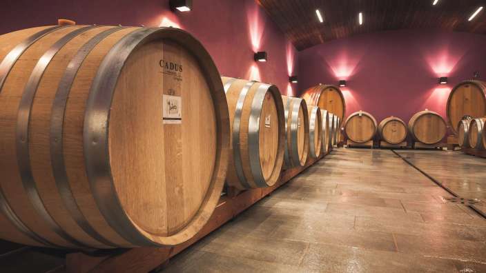Eine Reihe von Weinfässern mit der Aufschrift cadus