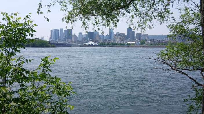Ein Blick auf die Stadt von einem Fluss mit Bäumen im Vordergrund