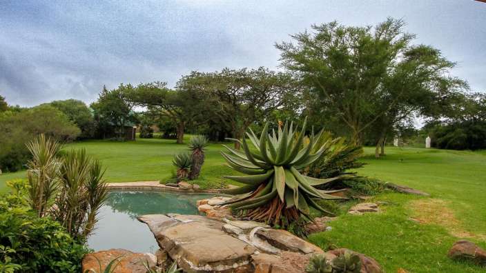 Ein Garten mit einem Pool und vielen Bäumen