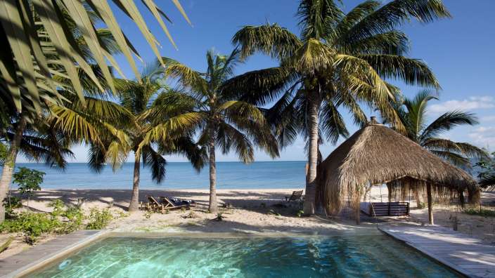 Ein Strand mit Palmen und einem Swimmingpool