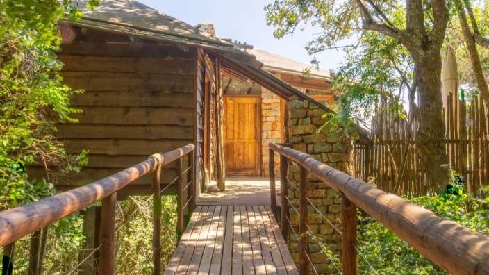 Ein Holzsteg führt zu einem Holzhaus im Wald