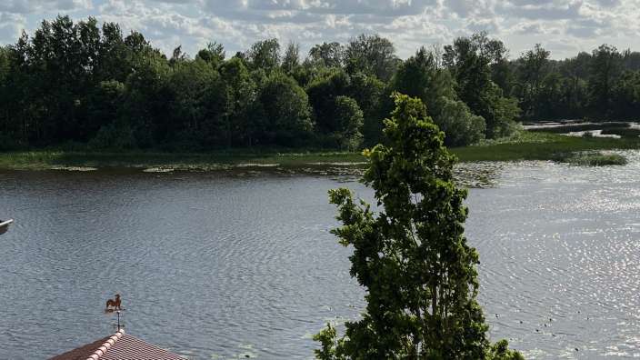 Ein Dock mit einem Pferd auf dem Dach über einem See