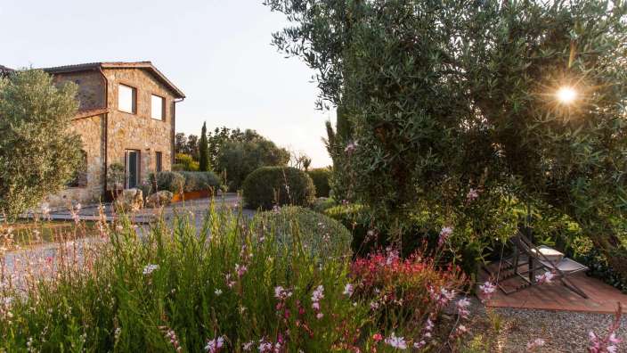 Die Sonne scheint durch die Bäume in einem Garten